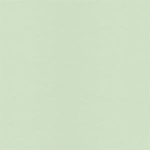 Meet your Posher, Noemi